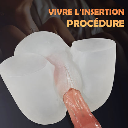 Fesse réaliste d'art transparente 2.55kg